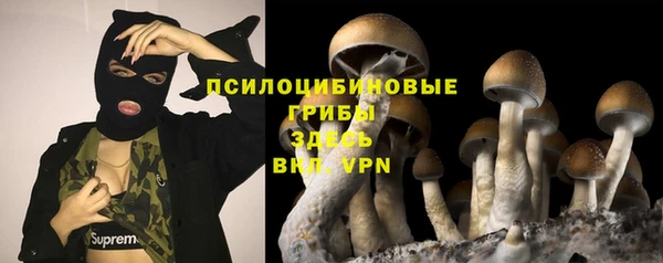 Альфа ПВП Армянск