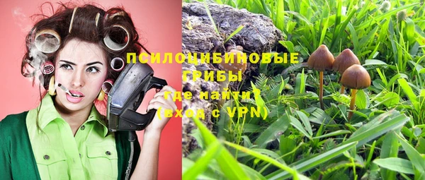 Альфа ПВП Аркадак