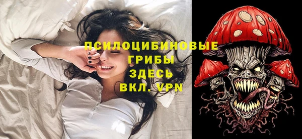 Альфа ПВП Армянск