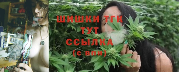 Альфа ПВП Аркадак